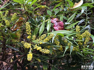 【拍有意境】秋天