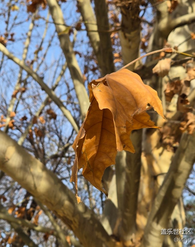 【瞬間】秋日余味