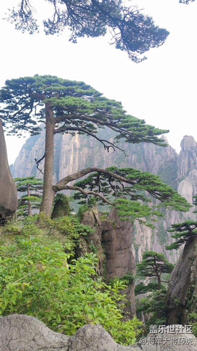 【瞬間】山巔之上，那些瞬間的美好