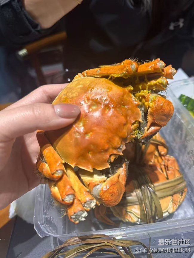 【冬食暖宴】邊減邊吃