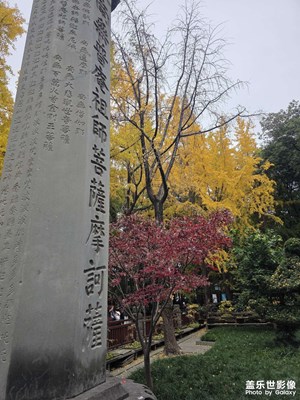 【初冬限定幀】+冬天陽光照心中