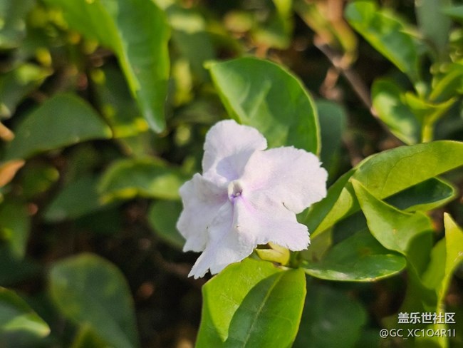 【瞬間】美麗瞬間