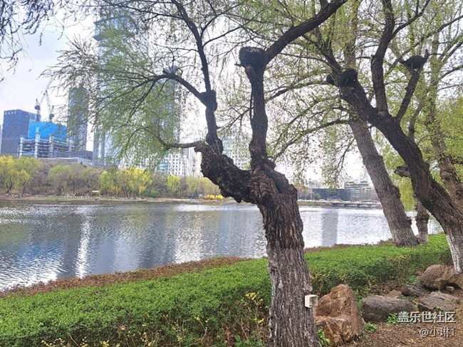 【瞬間】風(fēng)輕云淡的瞬間