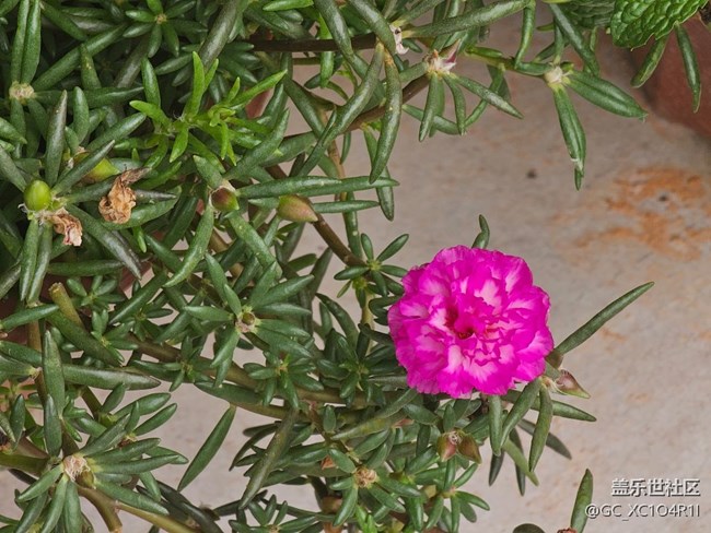 【瞬間】美麗瞬間