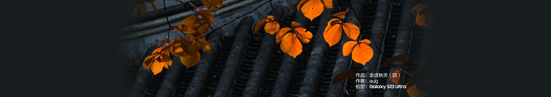 Galaxy S23 Ultra 走进秋天（四）