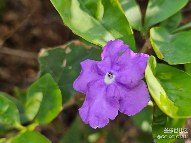 【瞬間】美麗瞬間