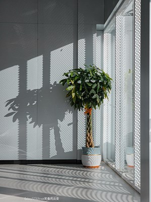 已開獎【攝影版塊十二月第二周】順光逆光