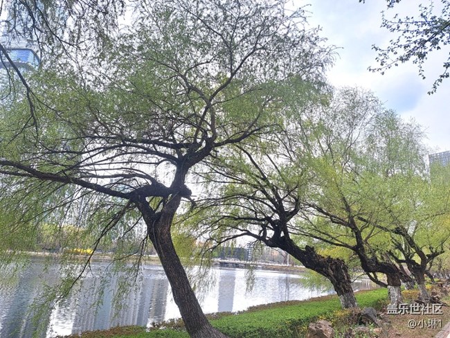 【瞬間】風(fēng)輕云淡的瞬間