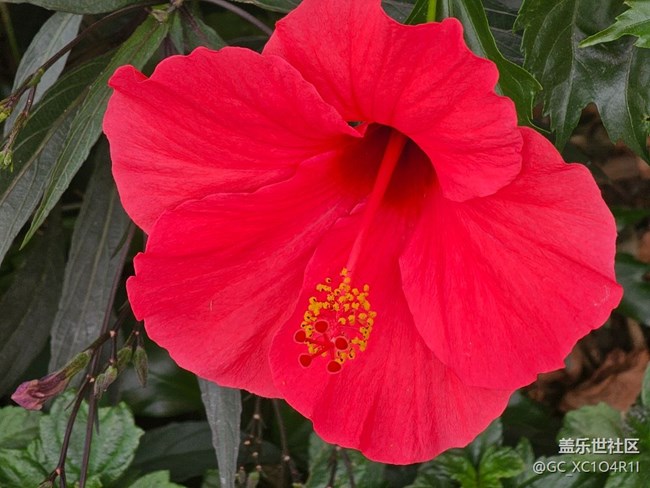 【瞬間】美麗瞬間