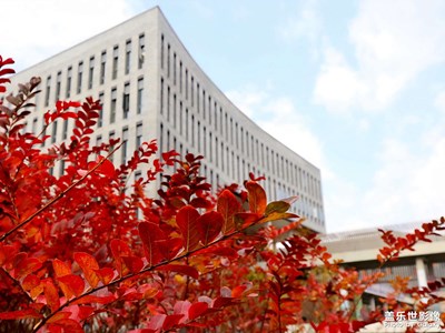 校園風(fēng)光5