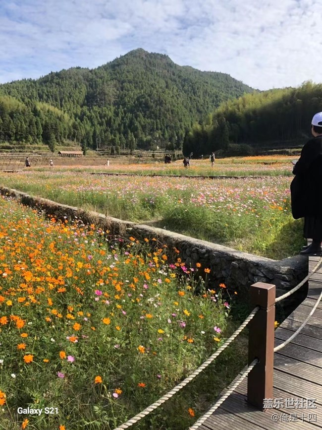 【三星視界】家鄉(xiāng)花圃