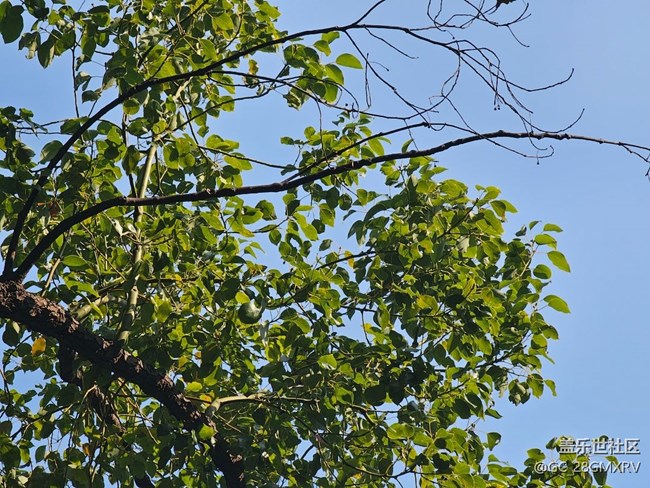 【瞬間】好時(shí)光