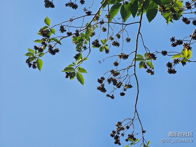 【瞬間】好時(shí)光