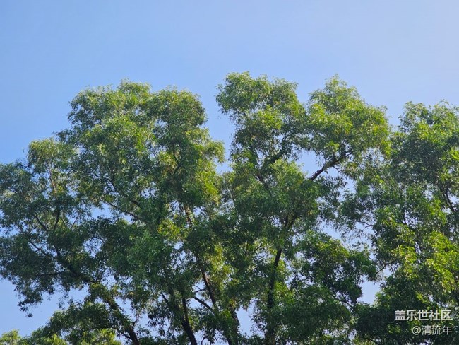 【瞬間】好時光