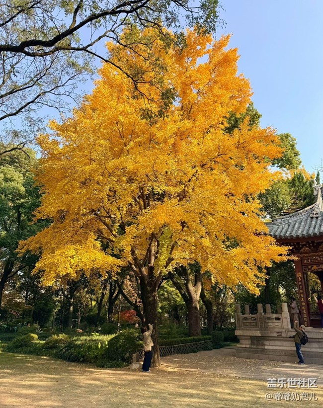 【瞬間】冬日里的繽紛色彩