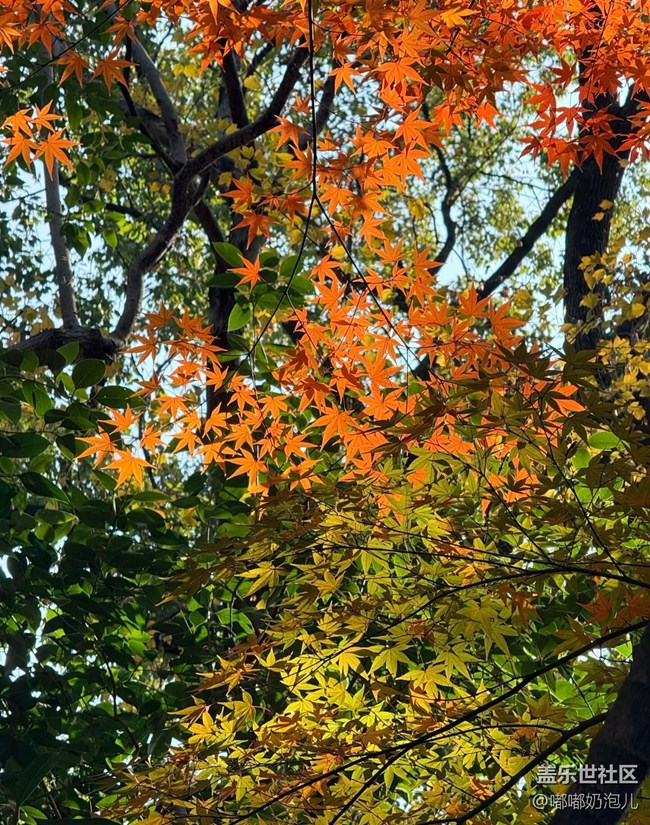 【瞬間】冬日里的繽紛色彩