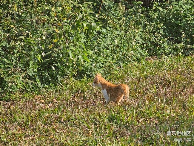 【瞬間】好時光