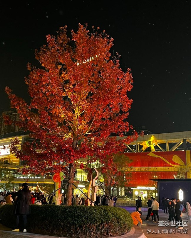 【瞬間】璀璨圣誕，溫暖瞬間