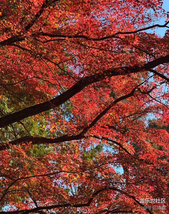 【瞬間】剎那芳華
