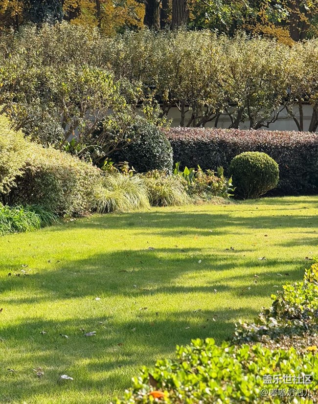 【瞬間】冬日里的繽紛色彩