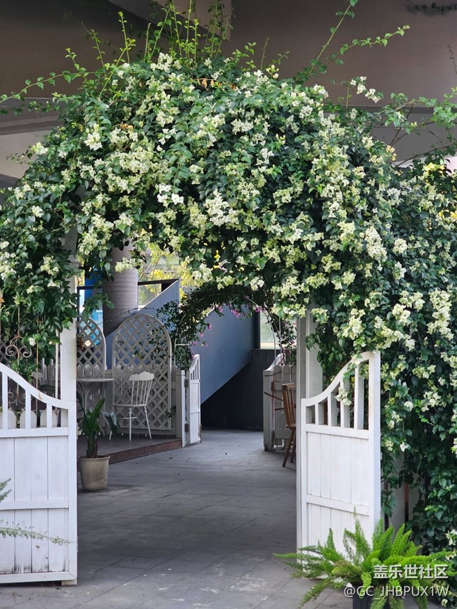 【街巷秋痕】小區(qū)巷口