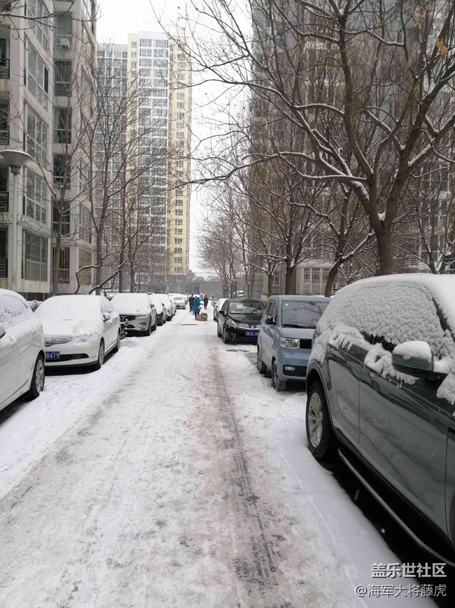 【銀裝視界】銀裝視界里的冬日溫柔 【銀裝視界】銀裝視界里的冬日溫柔