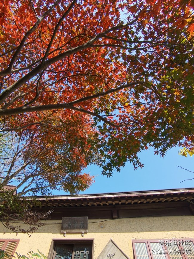【秋末山景】秋色的多彩是大自然的繾倦問候