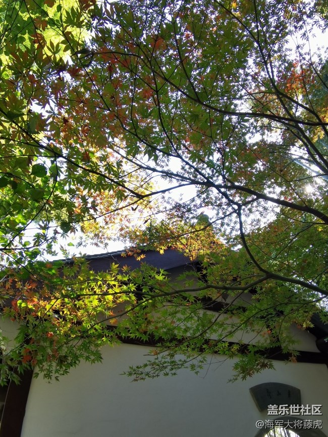 【秋末山景】秋色的多彩是大自然的繾倦問候