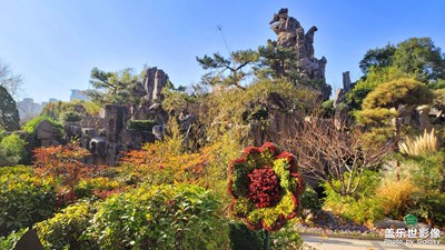 【初冬限定幀】冬日隨拍