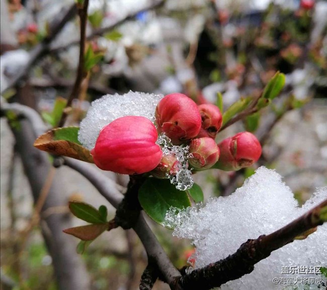 【銀裝視界】銀裝視界里的冬日溫柔 【銀裝視界】銀裝視界里的冬日溫柔