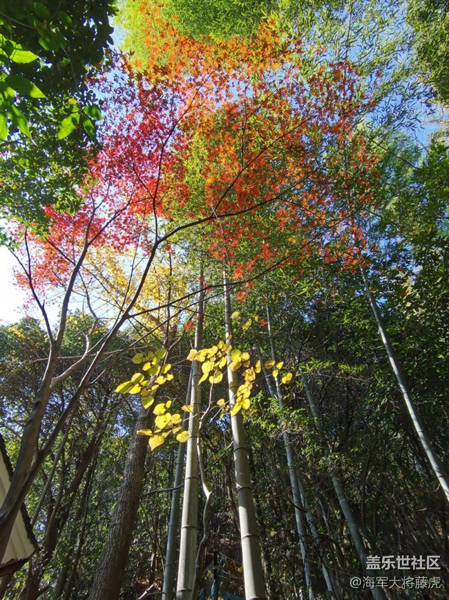 【秋末山景】秋色的多彩是大自然的繾倦問候