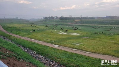 風(fēng)景無限好