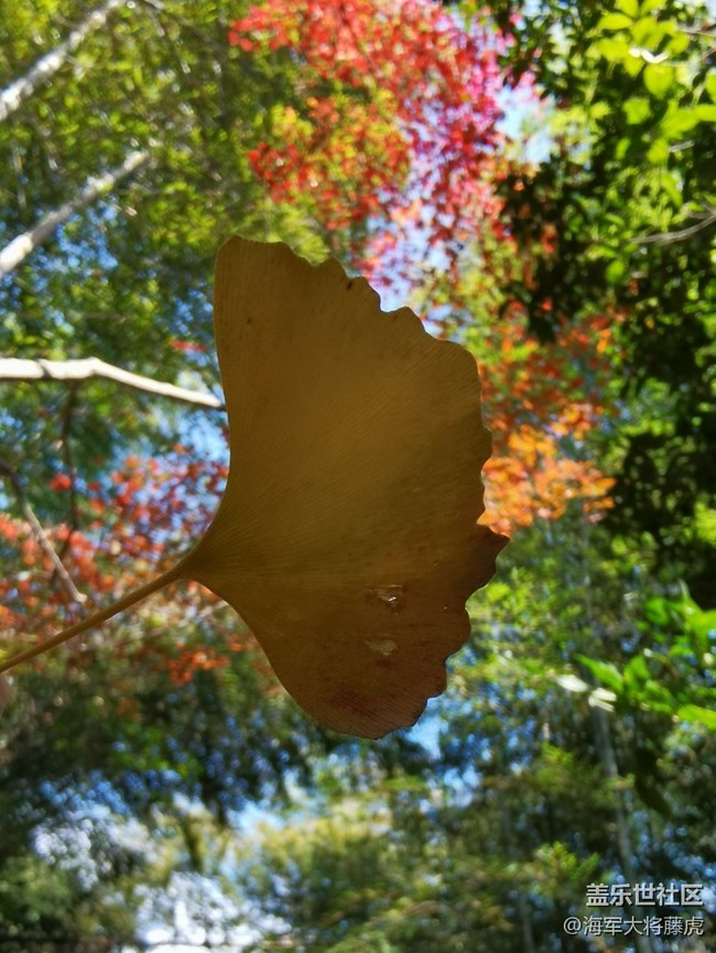 【秋末山景】秋色的多彩是大自然的繾倦問候