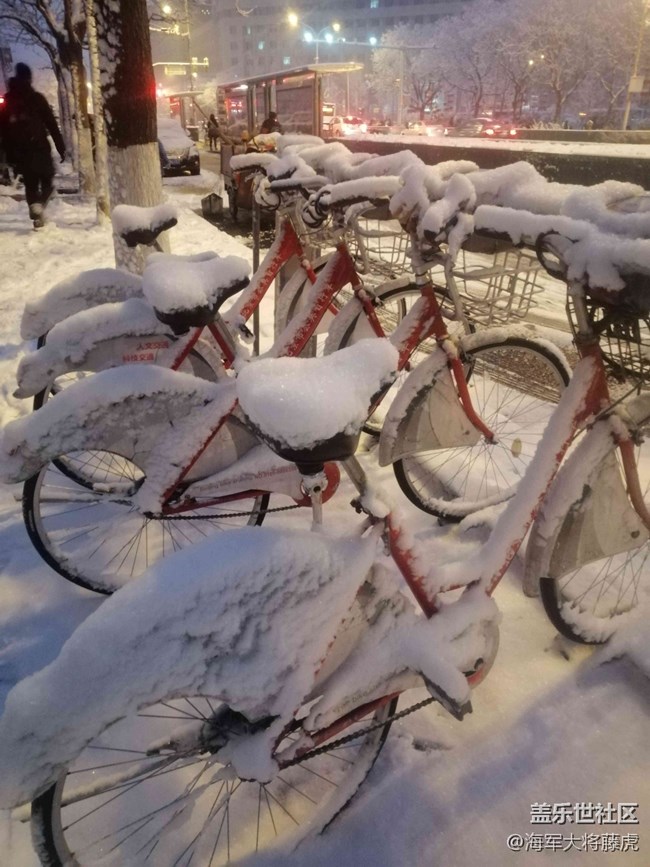 【銀裝視界】銀裝視界里的冬日溫柔 【銀裝視界】銀裝視界里的冬日溫柔