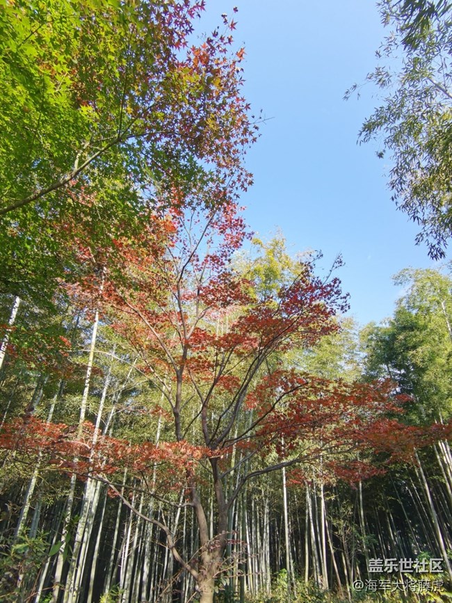 【秋末山景】秋色的多彩是大自然的繾倦問候