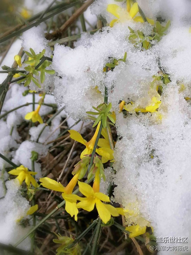 【銀裝視界】銀裝視界里的冬日溫柔 【銀裝視界】銀裝視界里的冬日溫柔