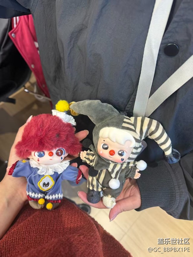 廈門星部落12月7號(hào)Z系列品鑒活動(dòng)