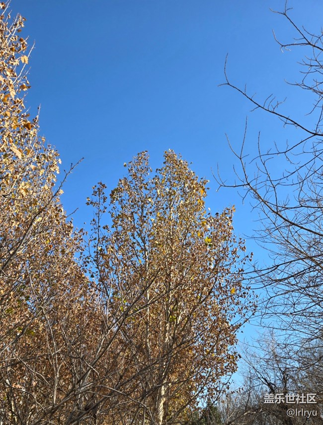 【秋末山景】流連秋日光景