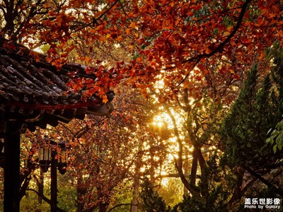 【初冬限定幀】+多彩的世界