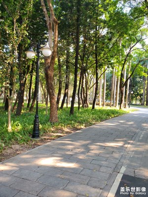 【初冬限定幀】冬日公園