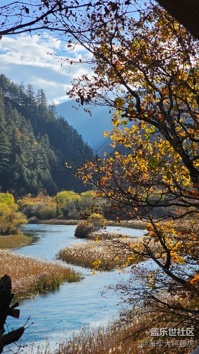 【秋末山景】九寨溝的秋，層林盡染