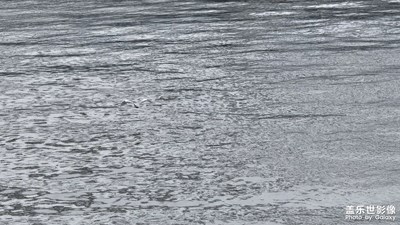 【初冬限定幀】+天空與水流