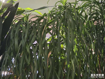 【初冬限定幀】冬日溫暖