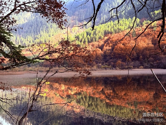 【秋末山景】九寨溝的秋，層林盡染