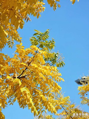 【初冬限定幀】+暖冬