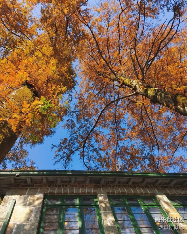 【地域拼圖】秋色繪卷