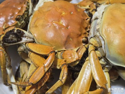 【初冬限定幀】美味