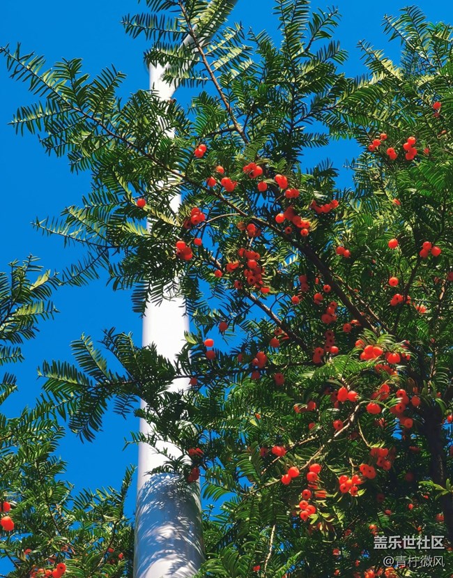 【地域拼圖】秋色繪卷