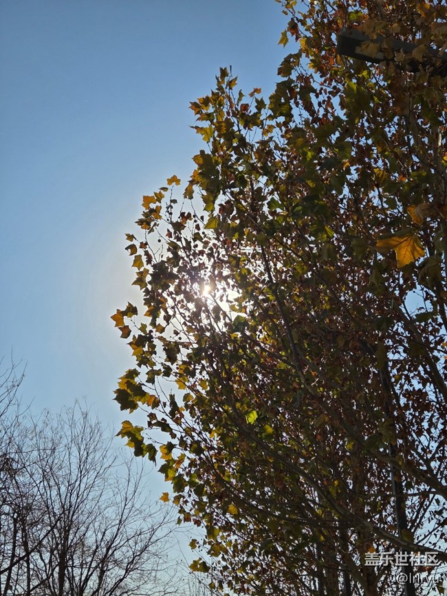 【秋末山景】流連秋日光景