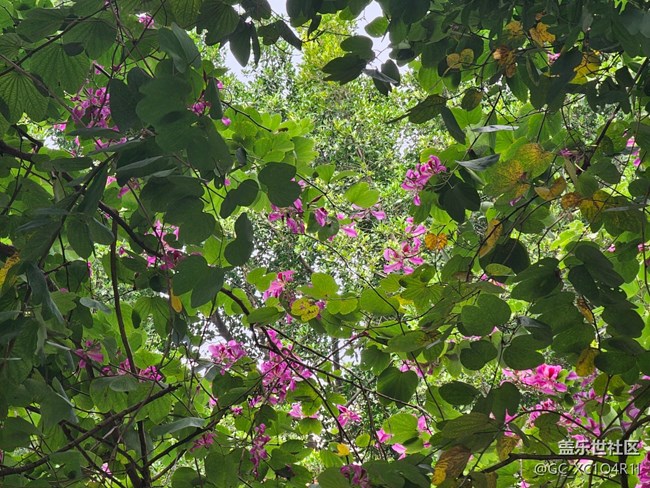 【街巷秋痕】街巷隨拍